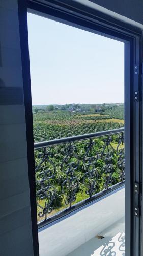 Homestay Thảo Nguyên Xanh (Homestay Thao Nguyen Xanh) in Ham Thuan Nam