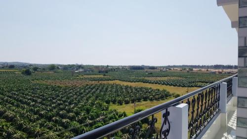 Homestay Thảo Nguyên Xanh (Homestay Thao Nguyen Xanh) in Ham Thuan Nam
