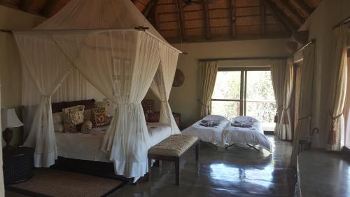 Motswiri Private Safari Lodge