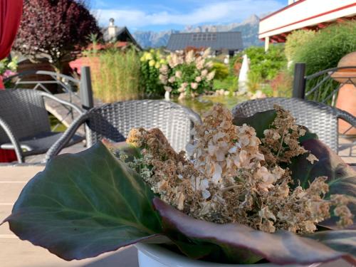 Appartement Holiday - main image