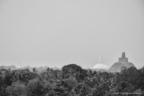 Antharaa Villa, Anuradhapura (foto 11)