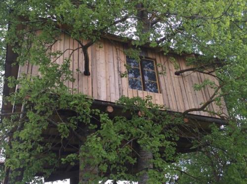 Treehouse Magpies Nest with bubble pool - Avesta