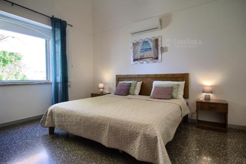 Beta Maggiore - image 12