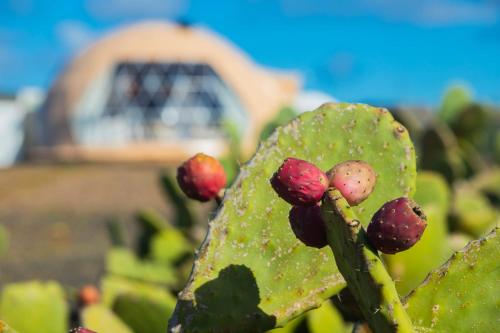 Eslanzarote Luxurious Eco Dome Experience