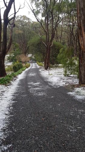 Mount Lofty Botanic Garden