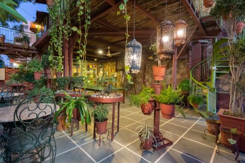 Jaipur Inn Hotel photo 4