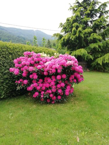 Boutique Hotel Pohorje