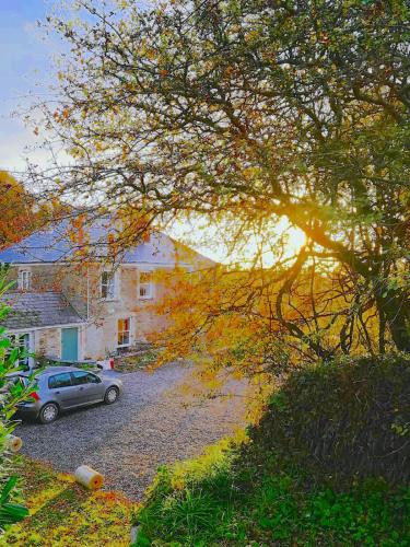 Cornwall, Looe - Magical Pendriffey, Polperro, Cornwall
