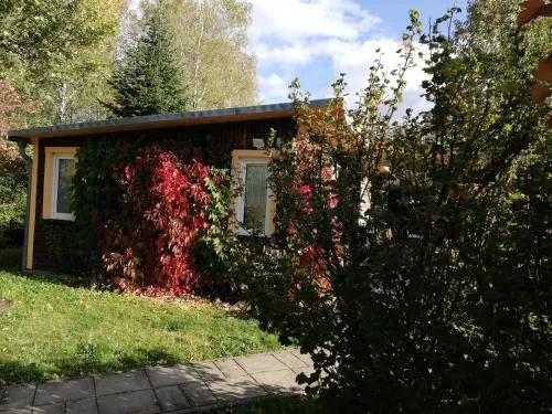 Ferienhaus Waldglück in Tanne, Deutschland