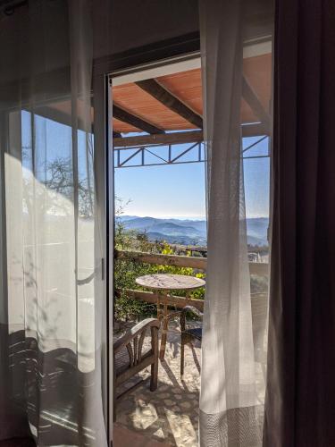 Deluxe Bungalow with Jacuzzi