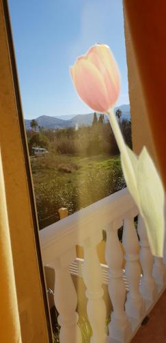 Apartamento Mar y Sol, Dénia