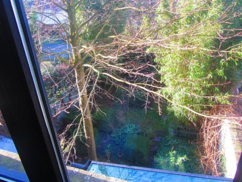 B&B Faja lobi – Ghent, CA