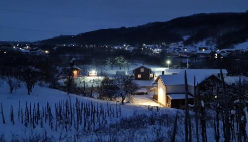 Swedish house - image 7