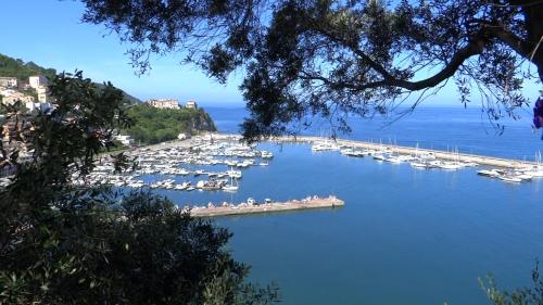 Vecchio Saracino - Carola 1801 – Agropoli, UT