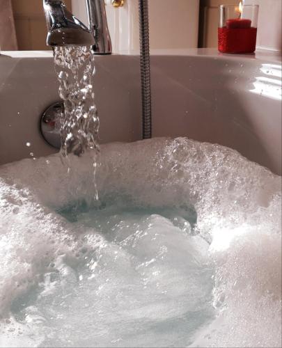 dorint hotel dresden