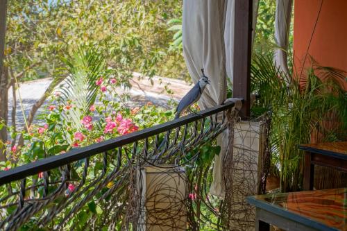 287011941 Conchal Hotel