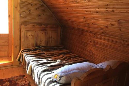 Casa de vacanta in Natura in Maramures