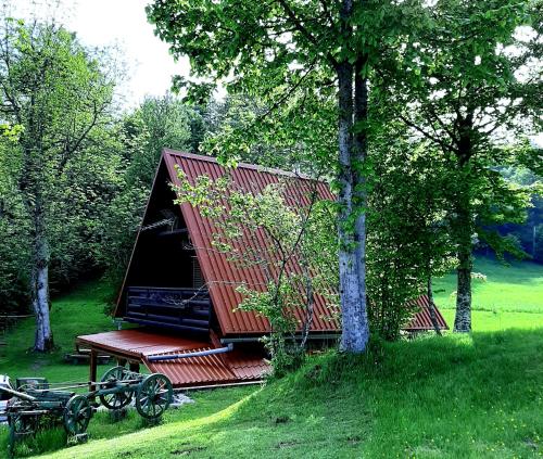 Kuća za odmor Gale - Chalet - Delnice