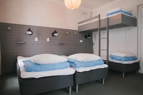 Visby Logi & Vandrarhem in فيسبى