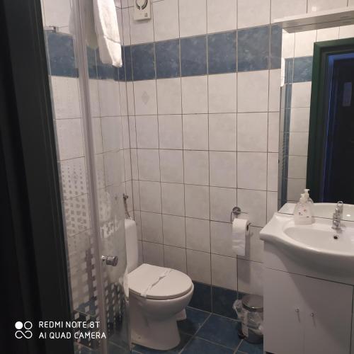 Bacchus Panzió Hotel - image 3