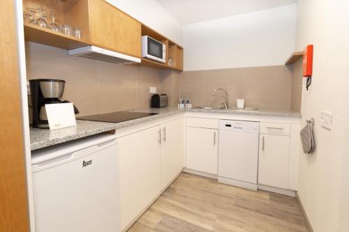One-Bedroom Apartment image 3