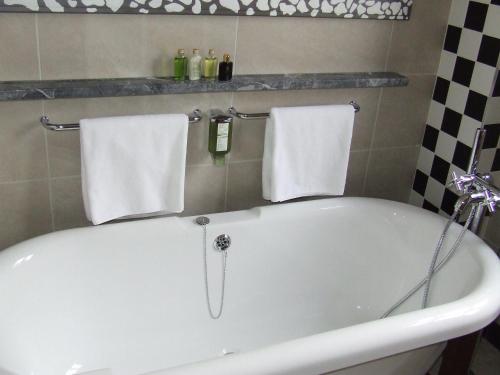 ฝักบัว, Mercure Belgrade Excelsior in วราซาร์