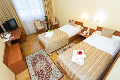 Hotel Fenyõ Conference & Spa Room Type - Double Room