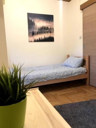 GOski Apartman Brzeće Kopaonik