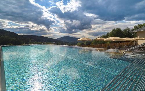 Camping Resort Bodenmais - image 4