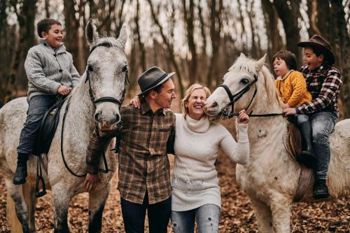 Tmbin's barn - nature, horses, family