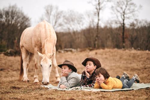 Tmbin's barn - nature, horses, family