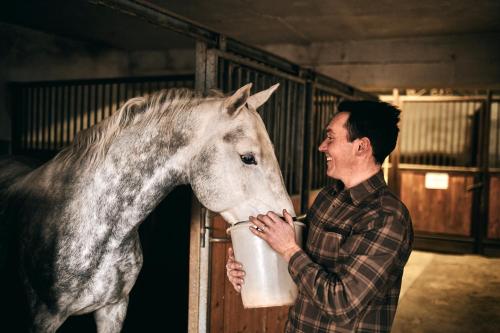 Tmbin's barn - nature, horses, family