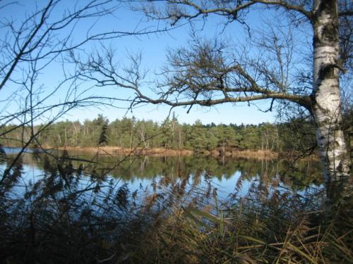 Haus Gollinger in 安加