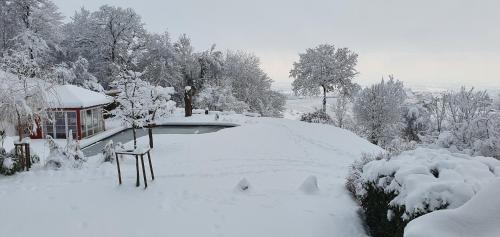 Paradies 2 Castellberg-Jakobsweg