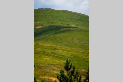 Mesto za odmor - image 8