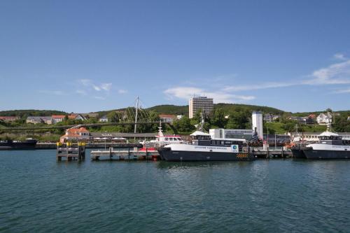 Ferienhaus-Wiesengrund - image 3