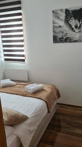 Zlatar Apartman br 16 - image 13