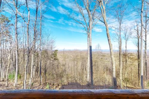 Black Bear View, Morganton (fotografie 4)