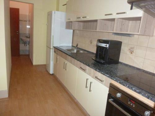 Cocina, Apartment Karlovy Vary in Karlovy Vary