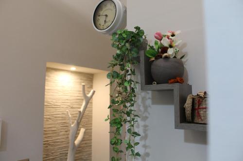 CAMARDA SUITE CAMARDA SUITE