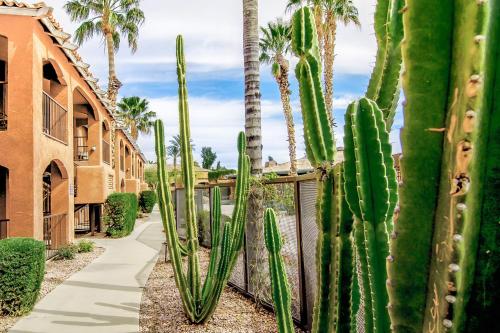 Holiday Inn Club Vacations Scottsdale Resort By IHG - image 3