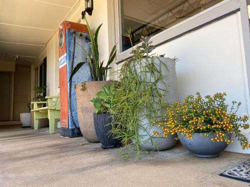 A szálláshely kívülről, Ben Hall Motor Inn in Forbes