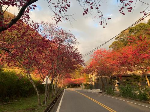 微楓民宿 可加購晚餐酸白菜火鍋 微楓民宿 可加購晚餐酸白菜火鍋