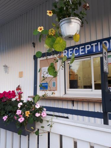 Camping Tornio - image 6