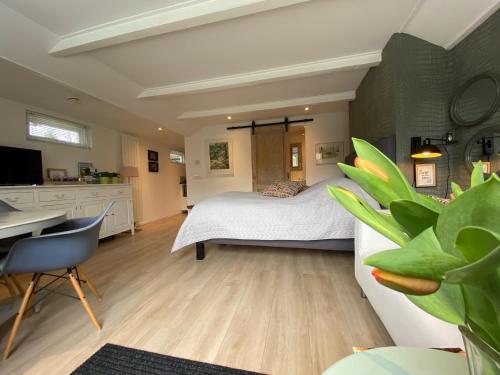 Studio Clematis Bergen in Bergen-Centrum