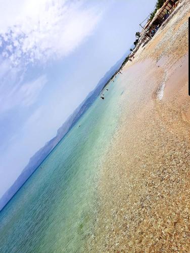 Nicoll Apartments - image 13