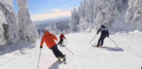 Le Cocon Orford Domaine Cheribourg in اورفورد
