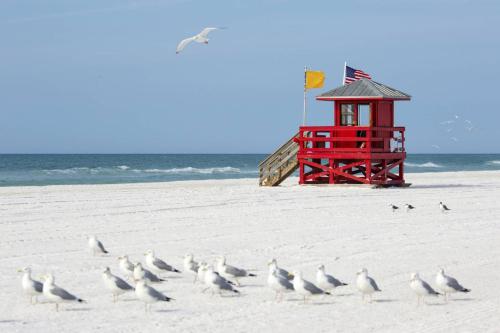 Beach Way South - image 7