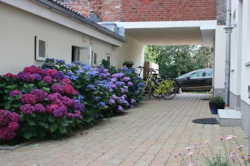 Stadtwohnung 2 Stadtwohnung 2