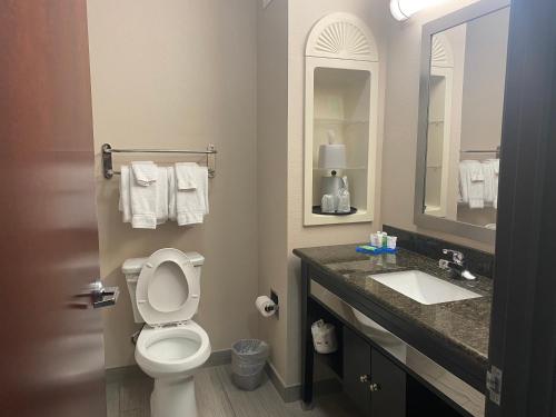 Holiday Inn Express Hotel and Suites Fort Stockton, an IHG Hotel